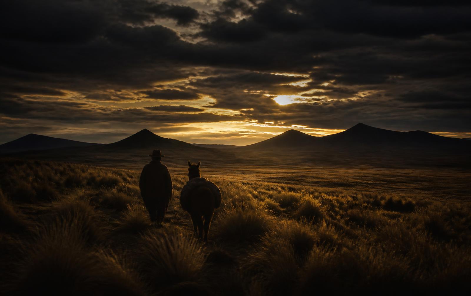 Andean highland plateau at dusk with a farmer and llama